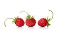 Three wild strawberries