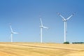 Three wind turbines on a golden wheat field in Puglia, Italy Royalty Free Stock Photo