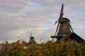 Three windmills at first light in a traditional Holland Landscape. Royalty Free Stock Photo