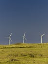 Three windmills, pasture, cattle, Hawaii Royalty Free Stock Photo