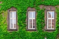 three windows of a brick building surrounded Royalty Free Stock Photo