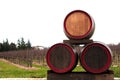 Three wine barrels Royalty Free Stock Photo