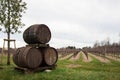 Three wine barrels Royalty Free Stock Photo