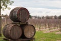 Three wine barrels Royalty Free Stock Photo