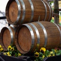 Three wine barrels Royalty Free Stock Photo