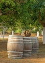 Three wine barrels. Royalty Free Stock Photo