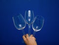 Three wine-glasses Royalty Free Stock Photo