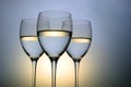 Three wine glasses Royalty Free Stock Photo