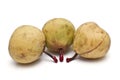 Three winter pears isolated. Royalty Free Stock Photo