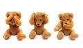Three wise bears Royalty Free Stock Photo