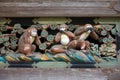 Three Wise Monkeys Royalty Free Stock Photo