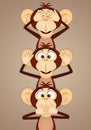 The three wise monkeys Royalty Free Stock Photo