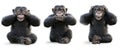 Three wise Monkeys .Monkey see no evil , hear no evil , speak no evil concept . Royalty Free Stock Photo