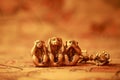 Three wise monkeys Royalty Free Stock Photo