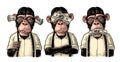 Three wise monkeys. Not see, not hear, not speak. Vintage engraving