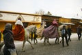 The Three Wisemen parade 2016 Royalty Free Stock Photo