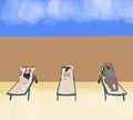 Three woman sunbathing and relax on the sunbed at tropical beach with copy space. Summer vacation new normal concept.
