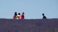 Three women in bright clothing and one man looking away from the camera, admiring the view on a lavender farm in the Cotswolds UK.