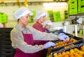 Three women sorting peaches Royalty Free Stock Photo