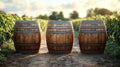 Three wooden barrels placed elegantly in a vineyard under a beautiful sunset Royalty Free Stock Photo