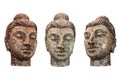 Wooden Buddha sculptures of heads on a white background Royalty Free Stock Photo