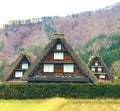 Beautiful geometric graphical ancient Japanese houses