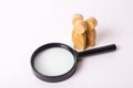 Three wooden human figure stands near a magnifying glass on a white background. The concept of the search for people and workers. Royalty Free Stock Photo