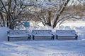 Three wooden snow covered benches in the park Royalty Free Stock Photo