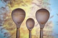 Three wooden spoons on a blue-yellow background close-up Royalty Free Stock Photo