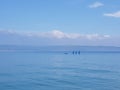 Three yachts on blue sea