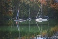 Three yachts on Lake Bohinj in autumn forestin in Slovenia