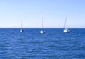 Three yachts in the sea