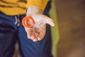 Three-year old boy shows vestibular plate. Plate with a bead to