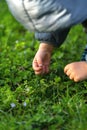 A three year old toddler boy holds a small blue flower in his hands in a city park.