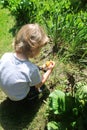 Three years old boy finding leprechaun in a garden