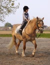 Three Years old Child ride to Pony