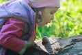 Three years old preschooler girl blowing on crawling edible snail