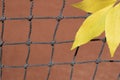 Three yellow autumn leaves on a tennis net on a blurred background of a ground tennis court. The end of the season