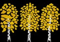 Three yellow birches on black acrylic painting