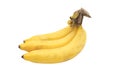 Three yellow Cavendish bananas look delicious on a white background with white copy space, Clipping Path, front view.