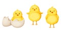 Three yellow Easter chickens. Vector illustration. Royalty Free Stock Photo