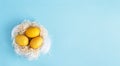 Three yellow eggs in a bird`s nest on a pastel blue background, Easter decor, flat lay, top view. Copy space. Royalty Free Stock Photo