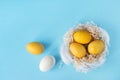 Three yellow eggs in a bird`s nest on a pastel blue background, Easter decor. Flat lay, top view. Copy space Royalty Free Stock Photo