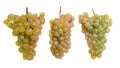 Three yellow grapes isolated on a white Royalty Free Stock Photo