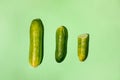 Three yellow-green ugly overripe cucumbers laid out in row on green background.