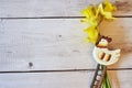 Three yellow jonquils with traditional Easter decoration Royalty Free Stock Photo