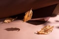 Three yellow leaves on brown paper background in sunbeams