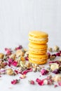 Three yellow macarons cookies and dry rose flowers on light background Royalty Free Stock Photo