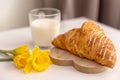 Three yellow narcissus flowers, a large French croissant and a glass of milk. Royalty Free Stock Photo