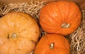 Three yellow-orange pumpkins on the background of hay, Halloween concept and autumn harvest of pumpkins, farm product Royalty Free Stock Photo